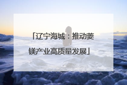 辽宁海城：推动菱镁产业高质量发展