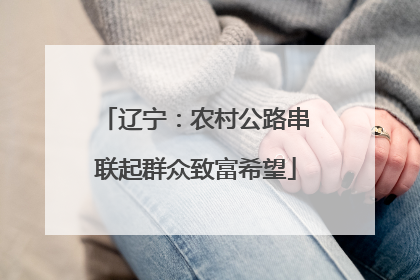 辽宁：农村公路串联起群众致富希望