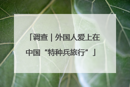 调查｜外国人爱上在中国“特种兵旅行”
