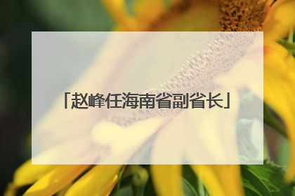 赵峰任海南省副省长