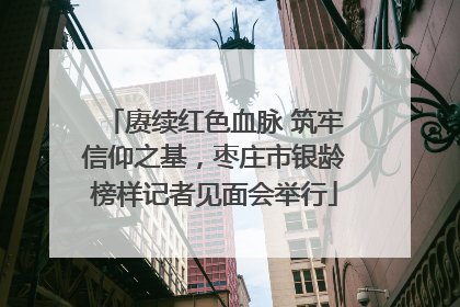 赓续红色血脉 筑牢信仰之基，枣庄市银龄榜样记者见面会举行