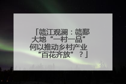 赣江观澜：赣鄱大地“一村一品”何以推动乡村产业“百花齐放”？
