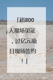 超800人现场见证，过亿元项目现场签约！