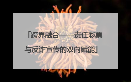 跨界融合——责任彩票与反诈宣传的双向赋能
