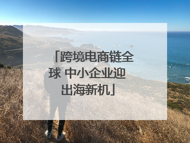 跨境电商链全球 中小企业迎出海新机