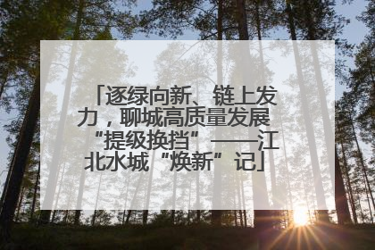 逐绿向新、链上发力，聊城高质量发展“提级换挡”——江北水城“焕新”记