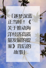 逐梦深蓝正当时！《关于推动海洋经济高质量发展的提案》背后的故事