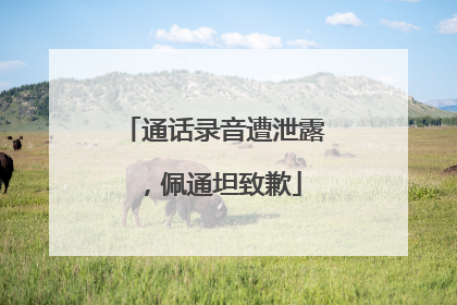 通话录音遭泄露，佩通坦致歉
