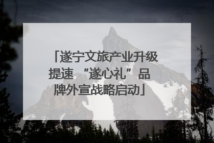 遂宁文旅产业升级提速 “遂心礼”品牌外宣战略启动