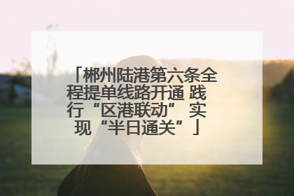 郴州陆港第六条全程提单线路开通 践行“区港联动” 实现“半日通关”