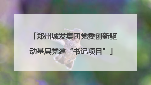 郑州城发集团党委创新驱动基层党建“书记项目”