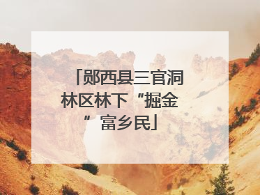郧西县三官洞林区林下“掘金”富乡民