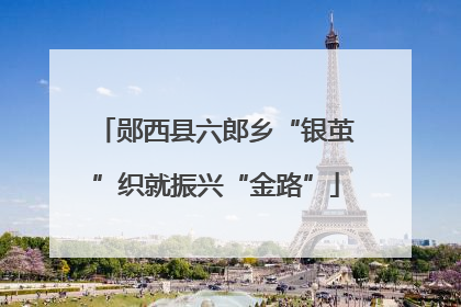 郧西县六郎乡“银茧”织就振兴“金路”