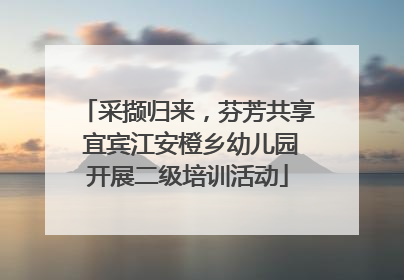 采撷归来，芬芳共享 宜宾江安橙乡幼儿园开展二级培训活动