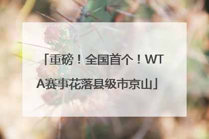 重磅！全国首个！WTA赛事花落县级市京山