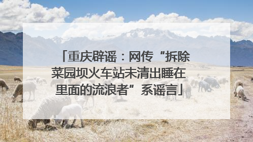 重庆辟谣：网传“拆除菜园坝火车站未清出睡在里面的流浪者”系谣言