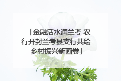金融活水润兰考 农行开封兰考县支行共绘乡村振兴新画卷