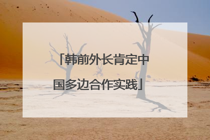 韩前外长肯定中国多边合作实践