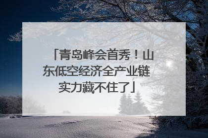 青岛峰会首秀！山东低空经济全产业链实力藏不住了