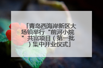青岛西海岸新区大场镇举行“前河小院”共富项目（第一批）集中开业仪式