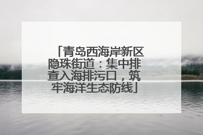 青岛西海岸新区隐珠街道：集中排查入海排污口，筑牢海洋生态防线