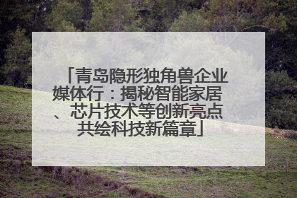 青岛隐形独角兽企业媒体行：揭秘智能家居、芯片技术等创新亮点 共绘科技新篇章