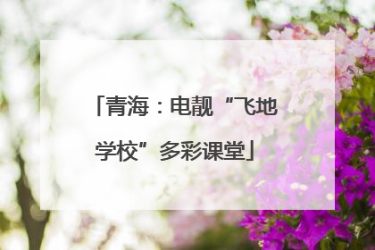青海：电靓“飞地学校”多彩课堂