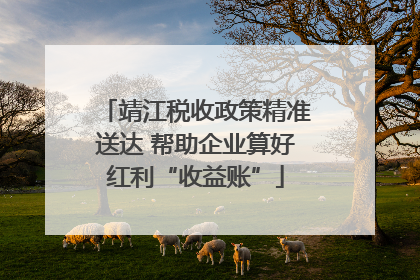 靖江税收政策精准送达 帮助企业算好红利“收益账”