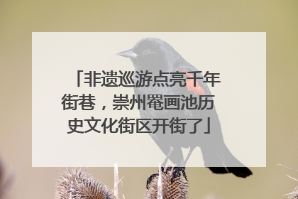 非遗巡游点亮千年街巷，崇州罨画池历史文化街区开街了