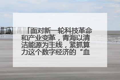 面对新一轮科技革命和产业变革，青海以清洁能源为主线，紧抓算力这个数字经济的“血液”、科技主权的“筹码”、产业升级的“杠杆”、绿色转型的“支点”，勇于撬动国家“双碳”战略、“东数西算”工程重大发展新机遇