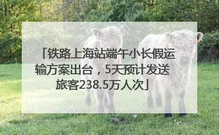 铁路上海站端午小长假运输方案出台，5天预计发送旅客238.5万人次