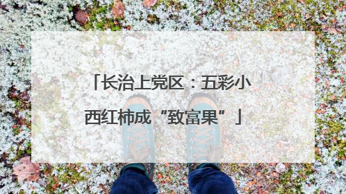 长治上党区：五彩小西红柿成“致富果”