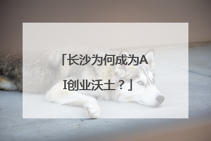 长沙为何成为AI创业沃土？