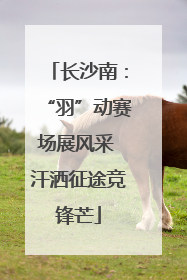 长沙南：“羽”动赛场展风采 汗洒征途竞锋芒