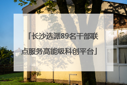 长沙选派89名干部联点服务高能级科创平台