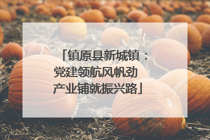镇原县新城镇：党建领航风帆劲 产业铺就振兴路
