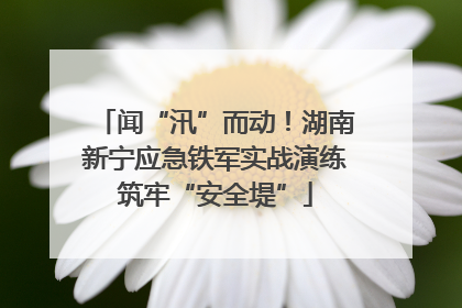 闻“汛”而动！湖南新宁应急铁军实战演练筑牢“安全堤”