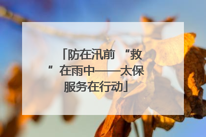 防在汛前 “救”在雨中——太保服务在行动