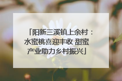 阳新三溪镇上余村：水蜜桃喜迎丰收 甜蜜产业助力乡村振兴
