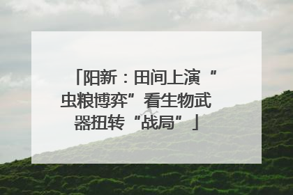 阳新：田间上演“虫粮博弈”看生物武器扭转“战局”