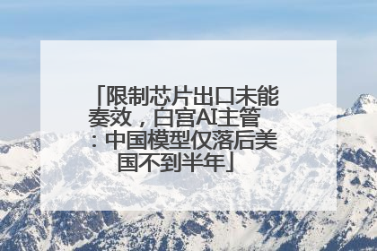 限制芯片出口未能奏效，白宫AI主管：中国模型仅落后美国不到半年