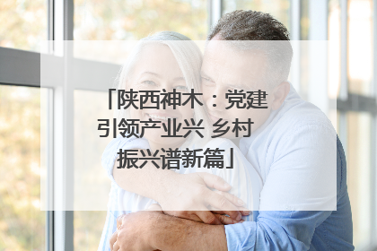 陕西神木：党建引领产业兴 乡村振兴谱新篇