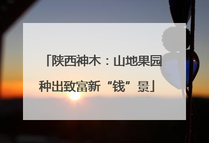 陕西神木：山地果园种出致富新“钱”景