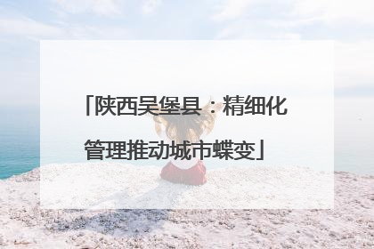 陕西吴堡县：精细化管理推动城市蝶变