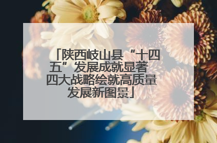 陕西岐山县“十四五”发展成就显著 四大战略绘就高质量发展新图景