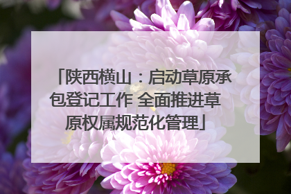 陕西横山：启动草原承包登记工作 全面推进草原权属规范化管理