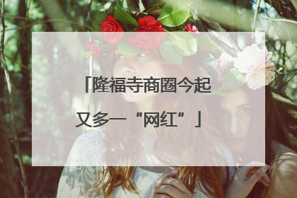 隆福寺商圈今起又多一“网红”