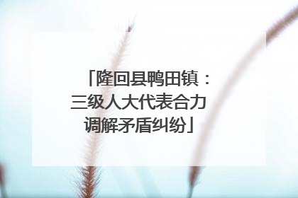 隆回县鸭田镇：三级人大代表合力调解矛盾纠纷
