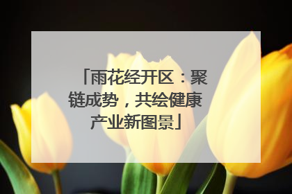雨花经开区：聚链成势，共绘健康产业新图景