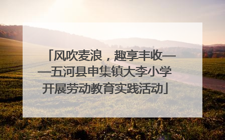 风吹麦浪，趣享丰收——五河县申集镇大李小学开展劳动教育实践活动